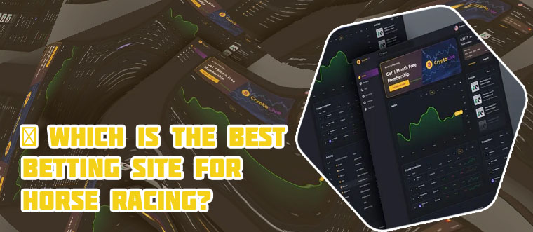 Which is the best betting platform